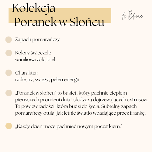 Poranek w słońcu