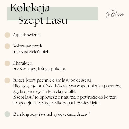 Kolekcja Szept Lasu